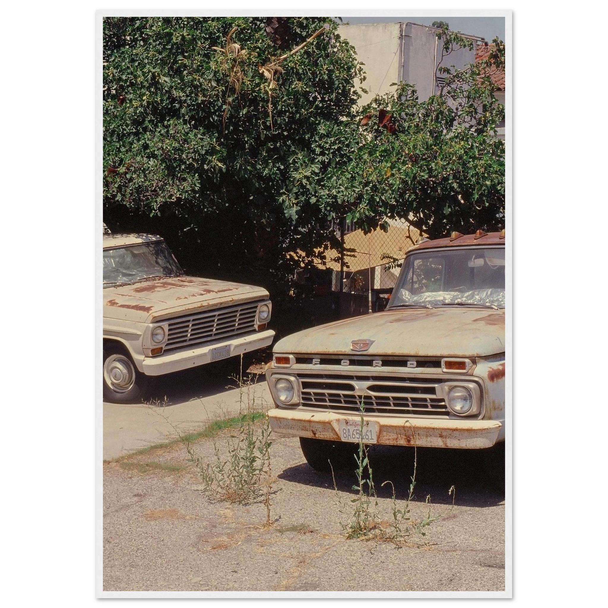 089917b9-76da-43e5-aa12-44a8054c0801