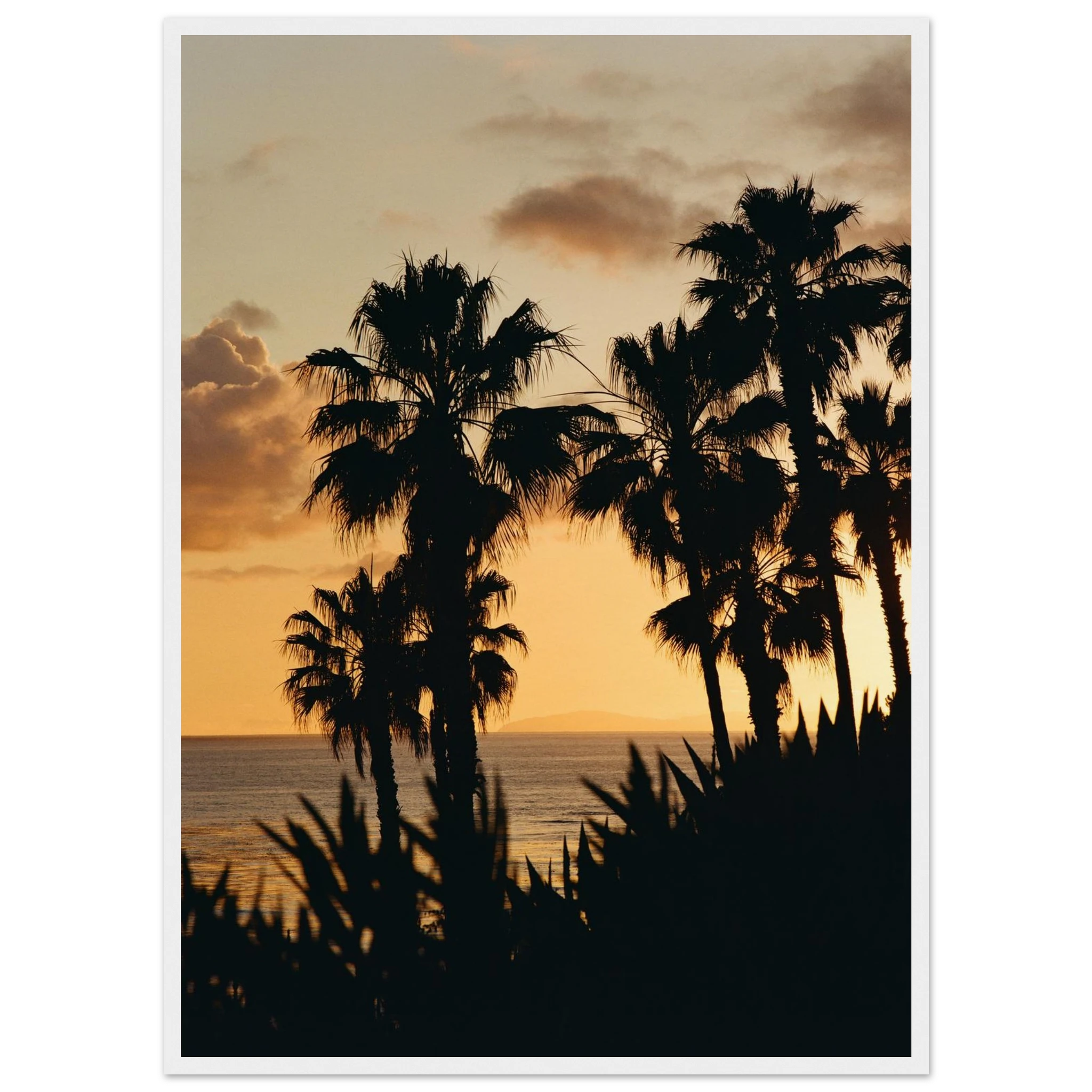 0c9e2117-ad52-4a71-937d-8325a6db1dd7