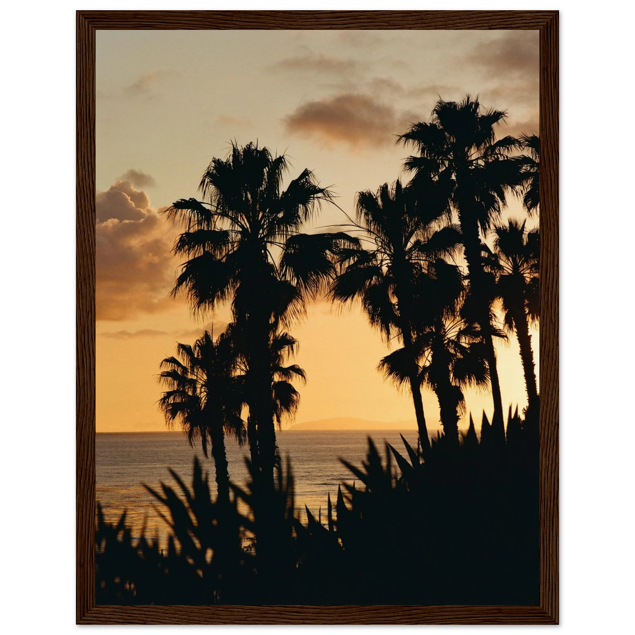 1a214aa5-800e-4ac3-beeb-3d838104210f