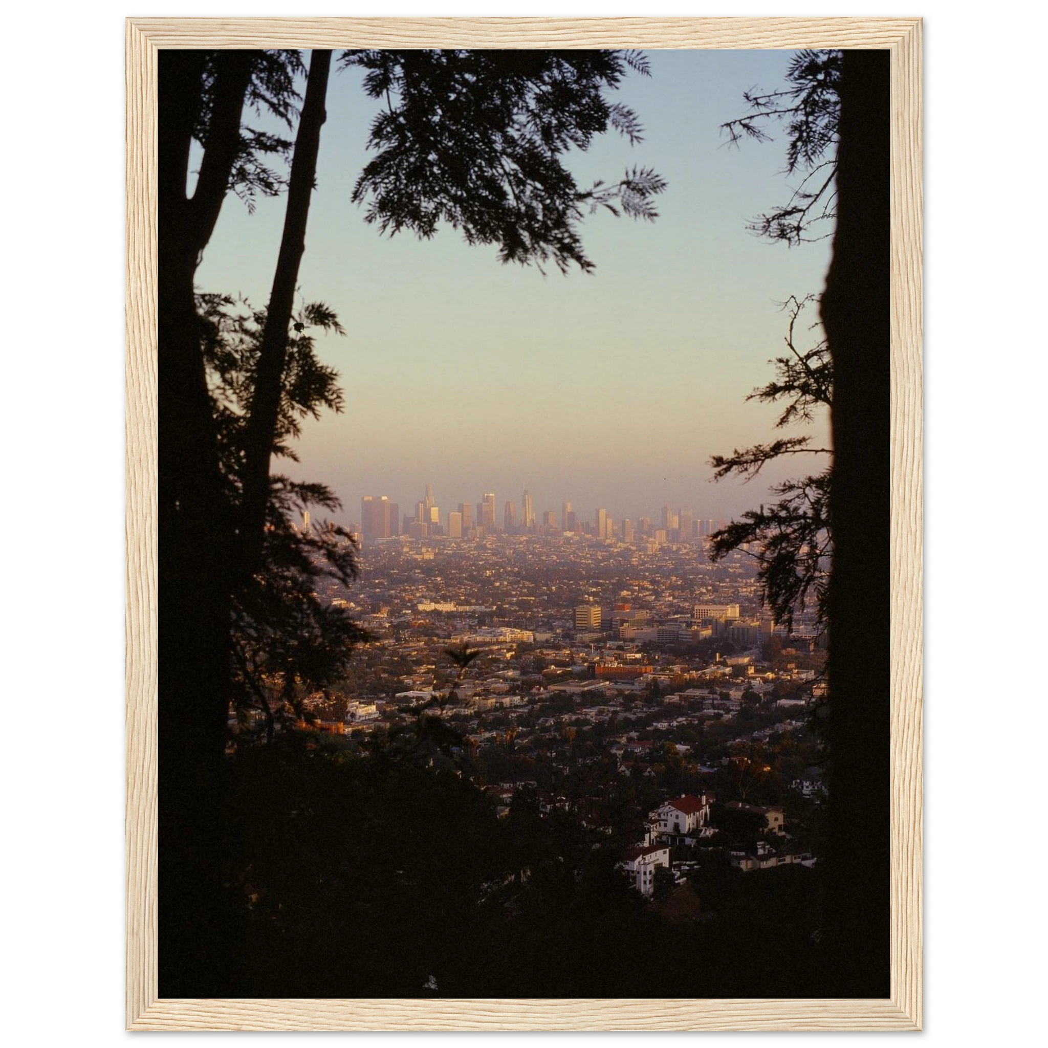 1dda8e13-aa5d-42ce-9509-a486333722f5