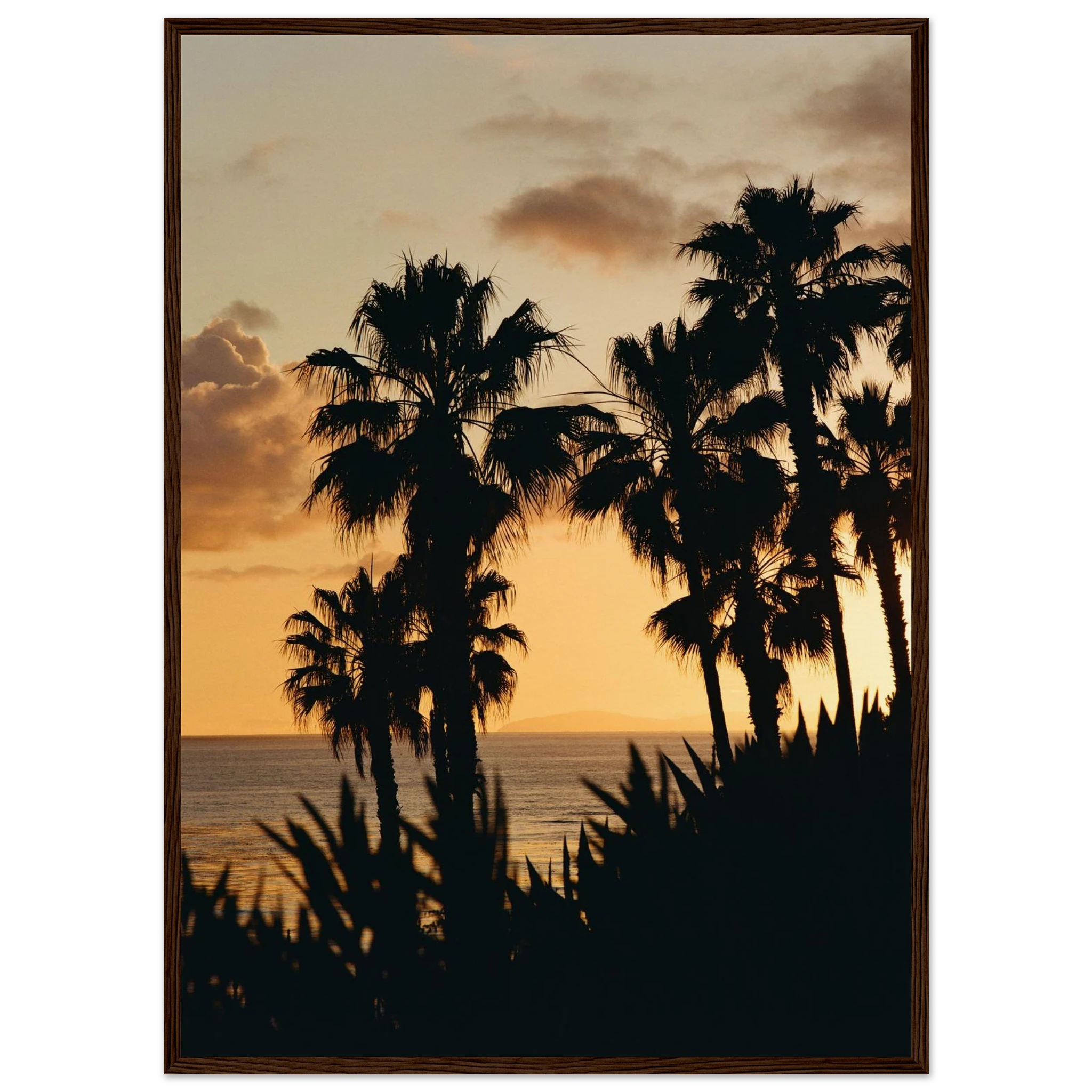 2e28fd58-6d20-4139-bc42-b1ef839f2800