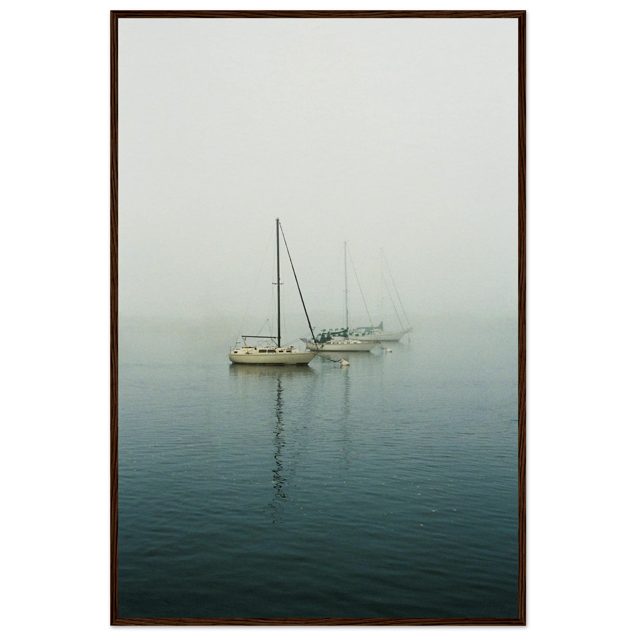 2e88c4c9-2654-46ba-a5d7-07369888980d