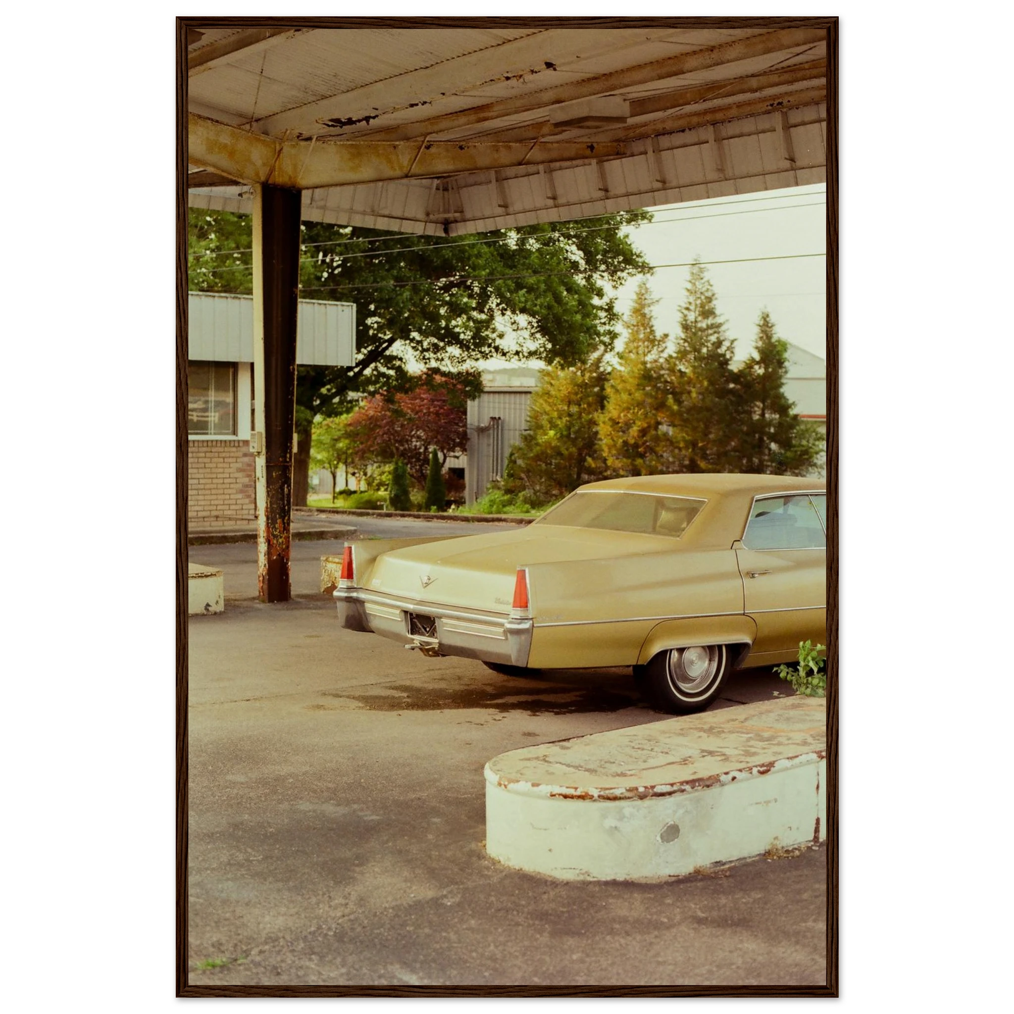 37e84ef8-4ab8-4308-b323-ed778c7bb623