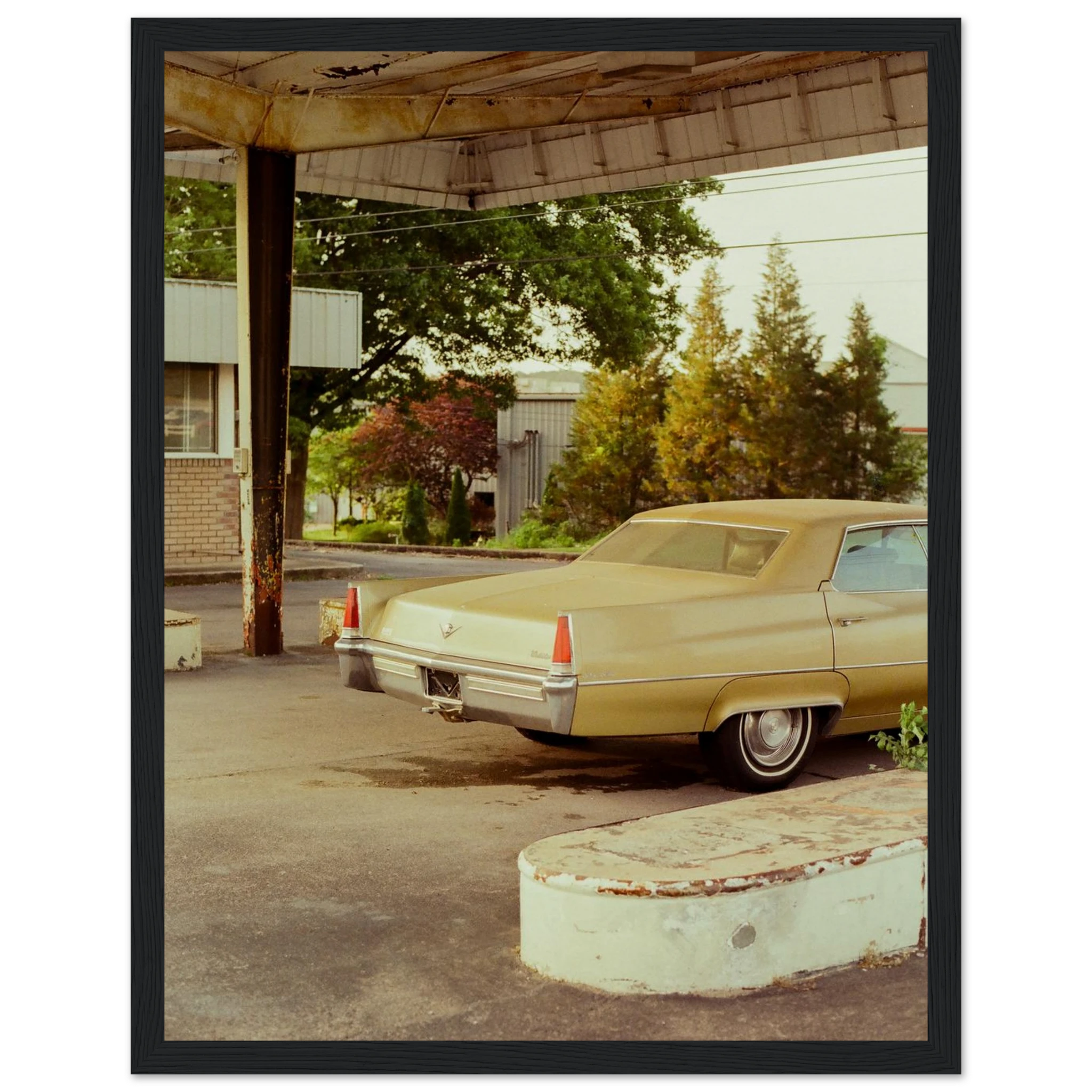 45ad0cf0-3cca-4ac5-89e5-84d23caf308e