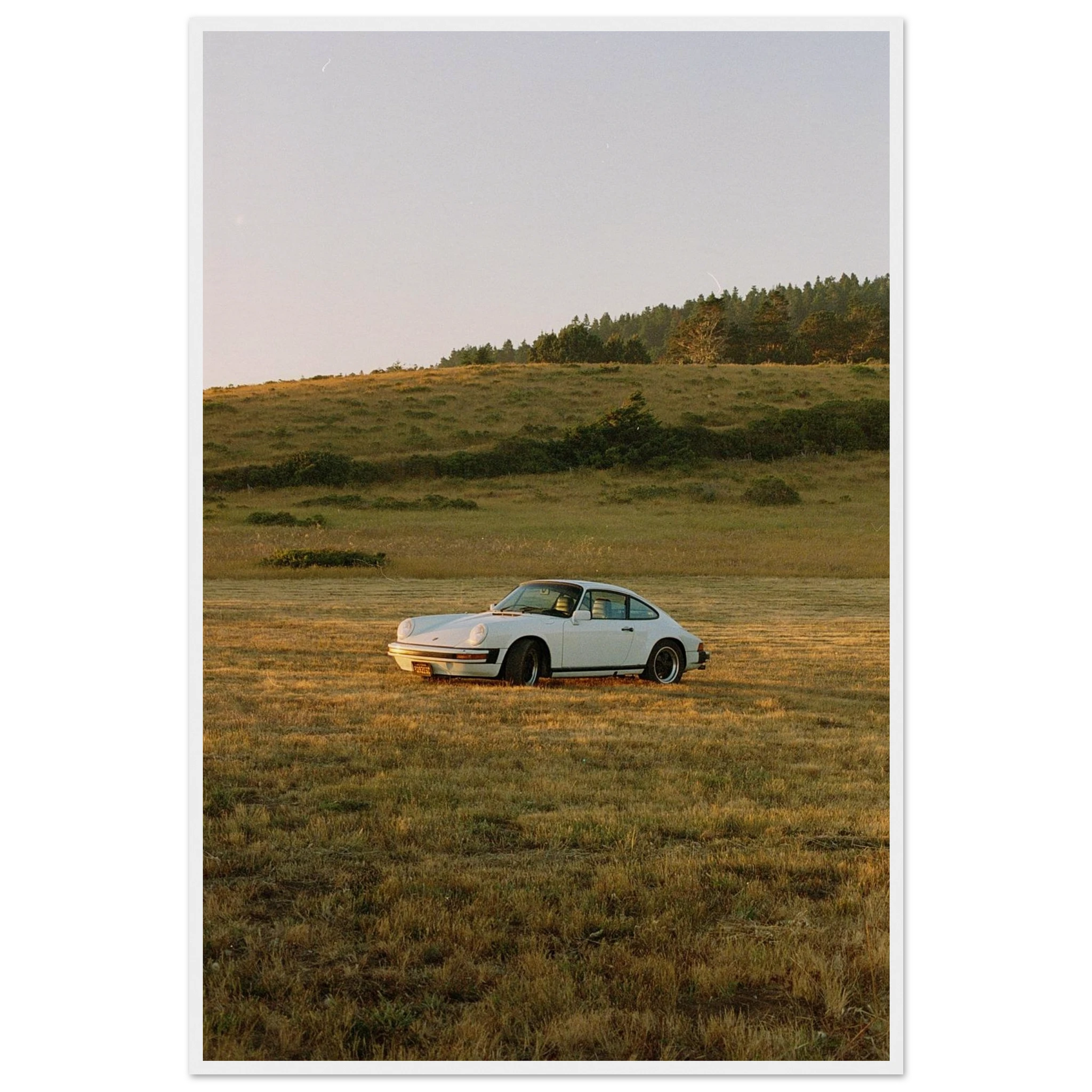 51254106-3d63-4cb3-9832-5cc8381d6bd3