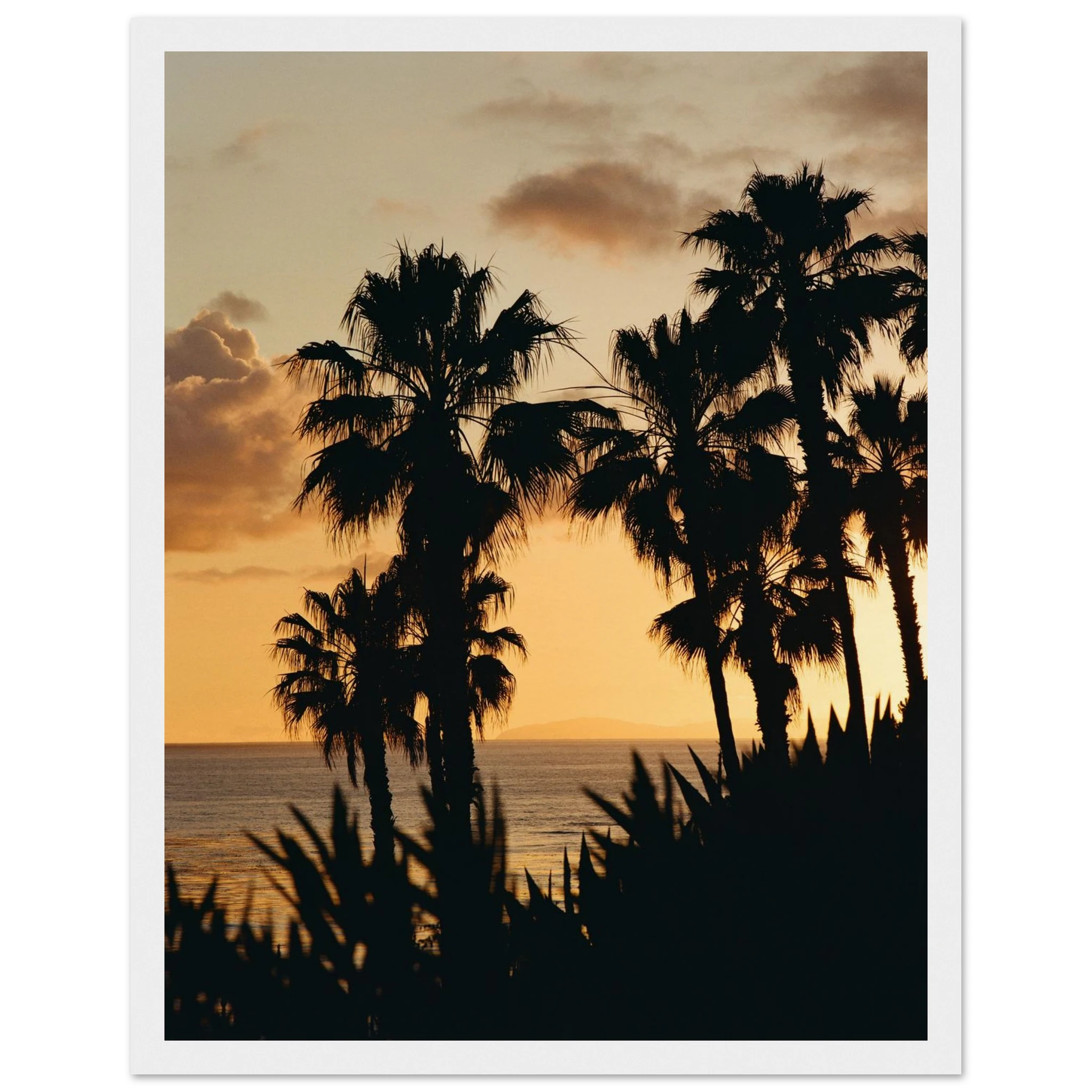 553bd829-c18d-4bf8-b871-ffe42a791f52