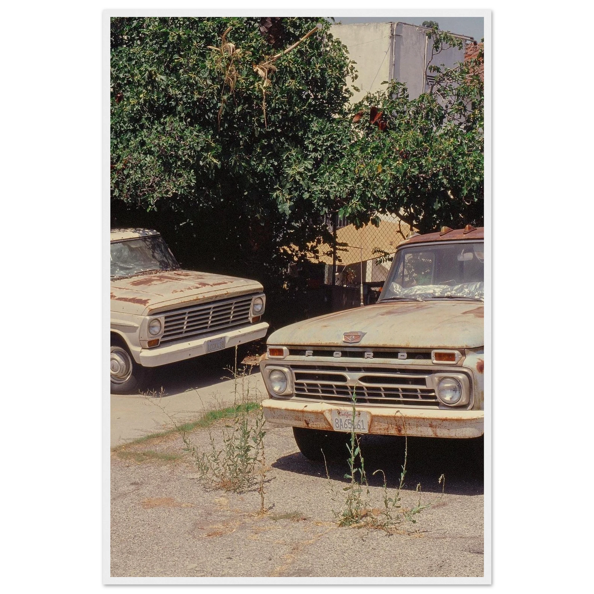 5cb1c313-37e4-4a46-ab50-1aaff58e2ab6