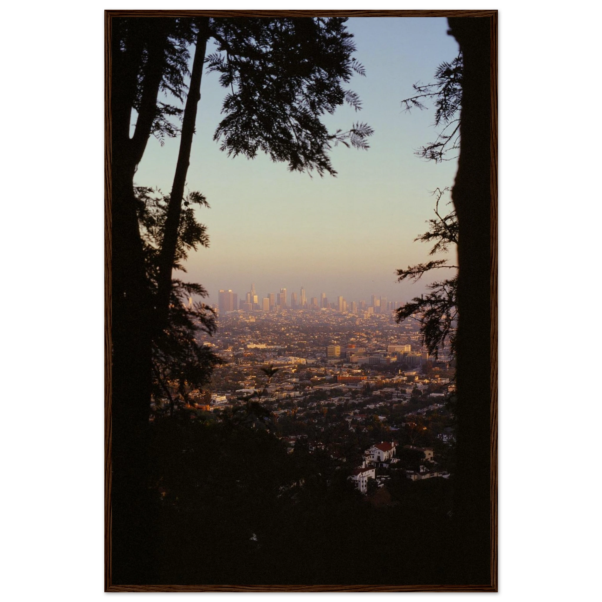 66b45bff-8647-4c97-a03d-b2ef7162ae5f