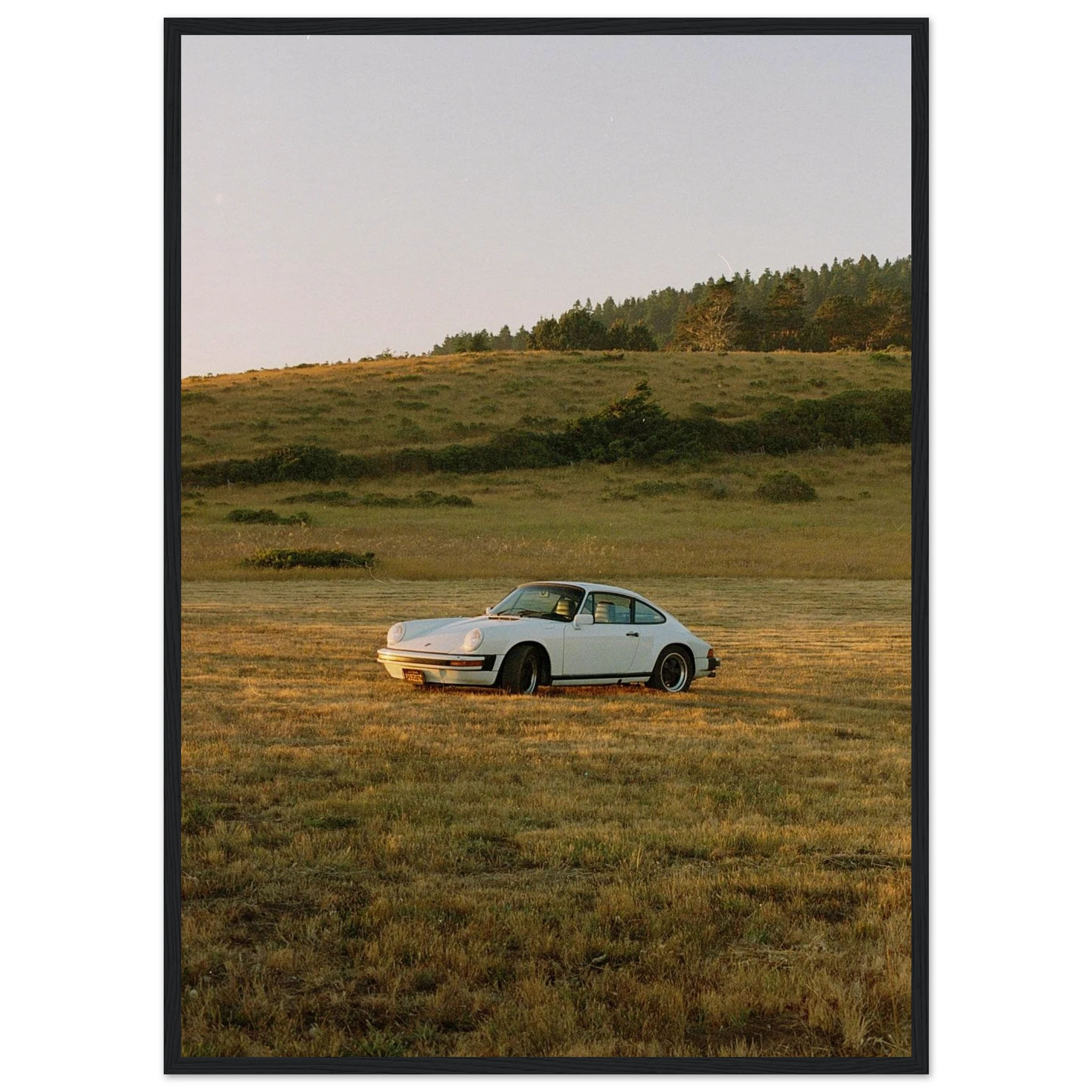 6e6aeff5-5106-4aa0-bcc7-274ddb46893d