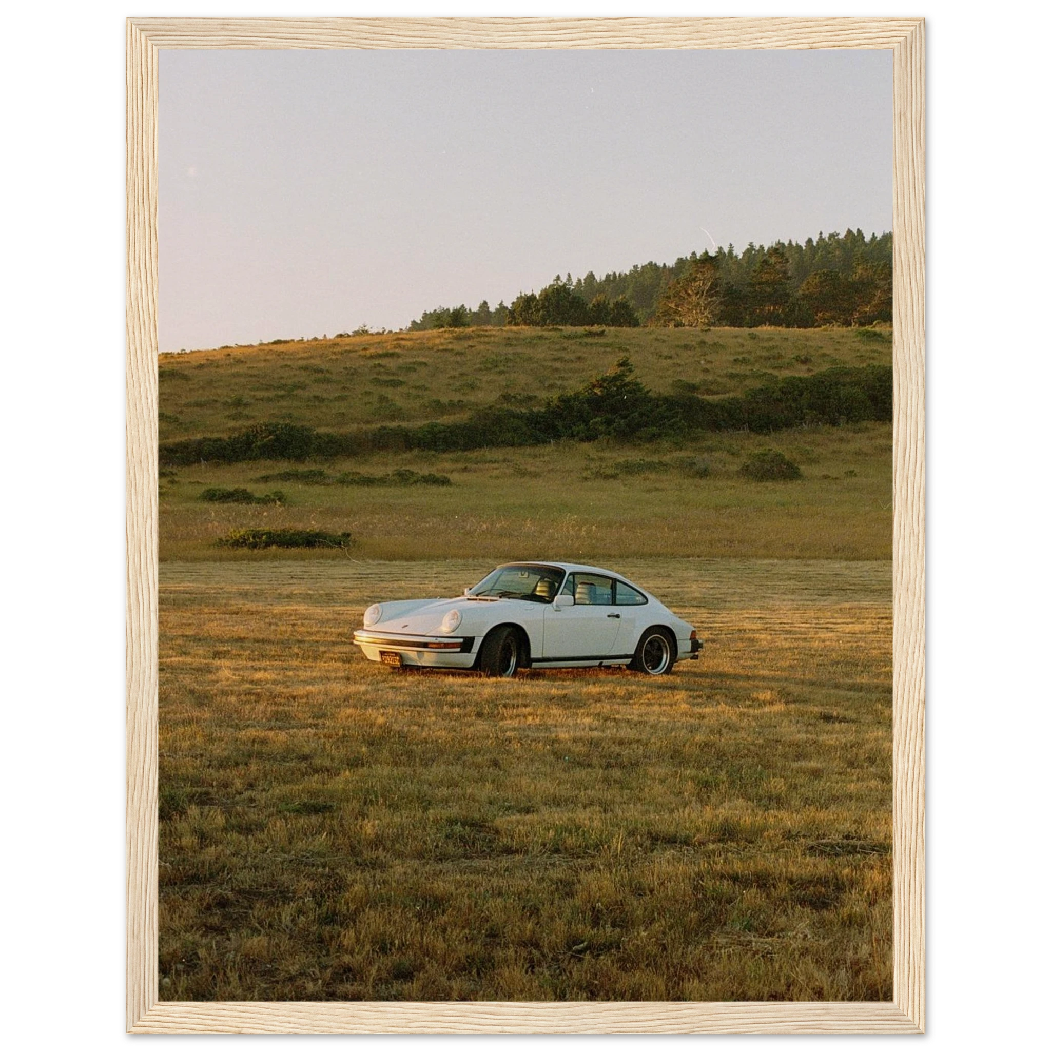 88d64037-98e1-401d-99e1-ecfe5a377086