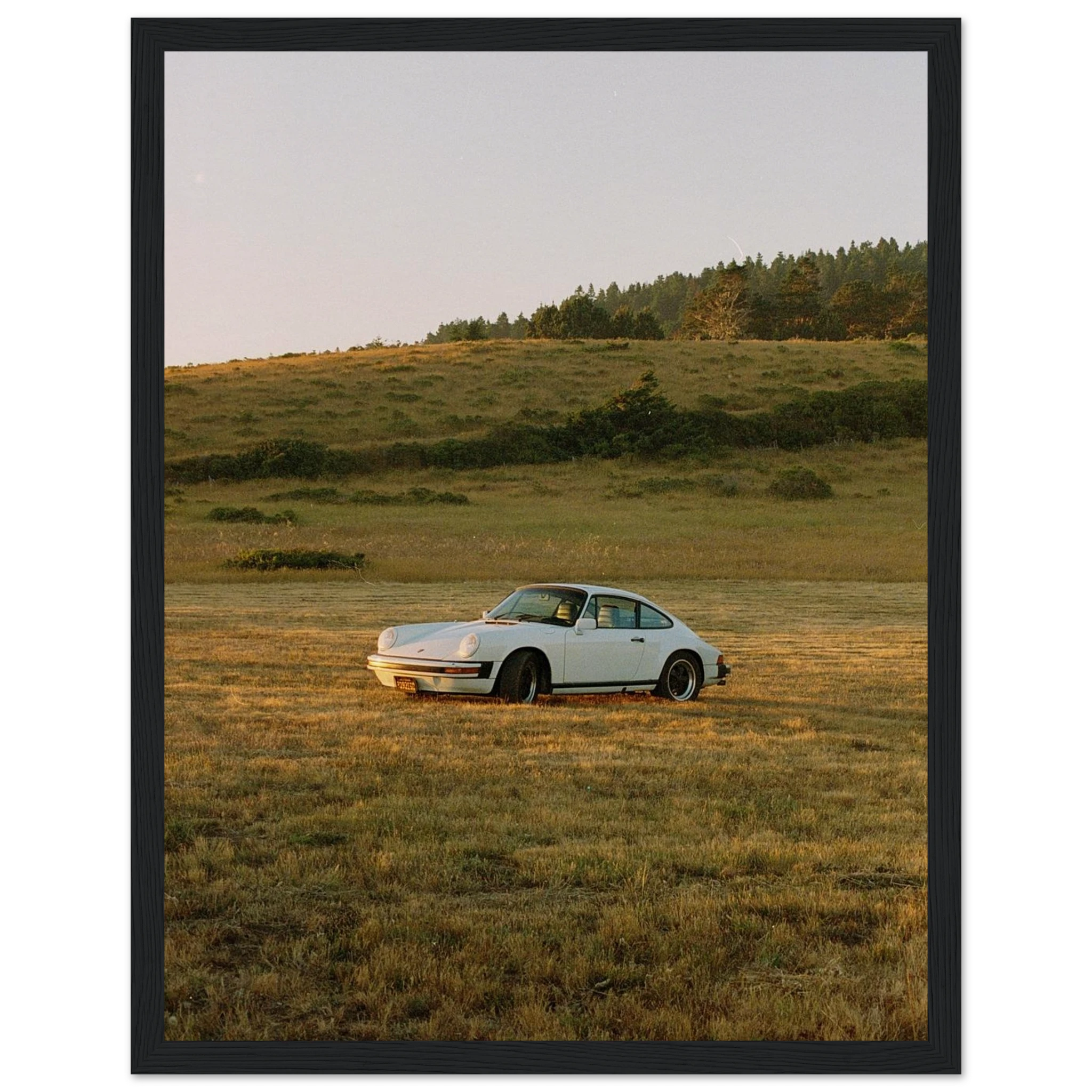 893cf665-d4df-4454-938b-74fae95c219a