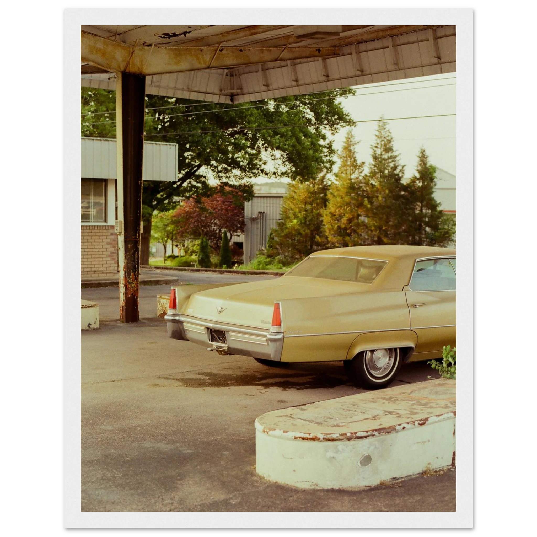 8fb931cb-a776-4bba-b7b6-76cc1d39f236