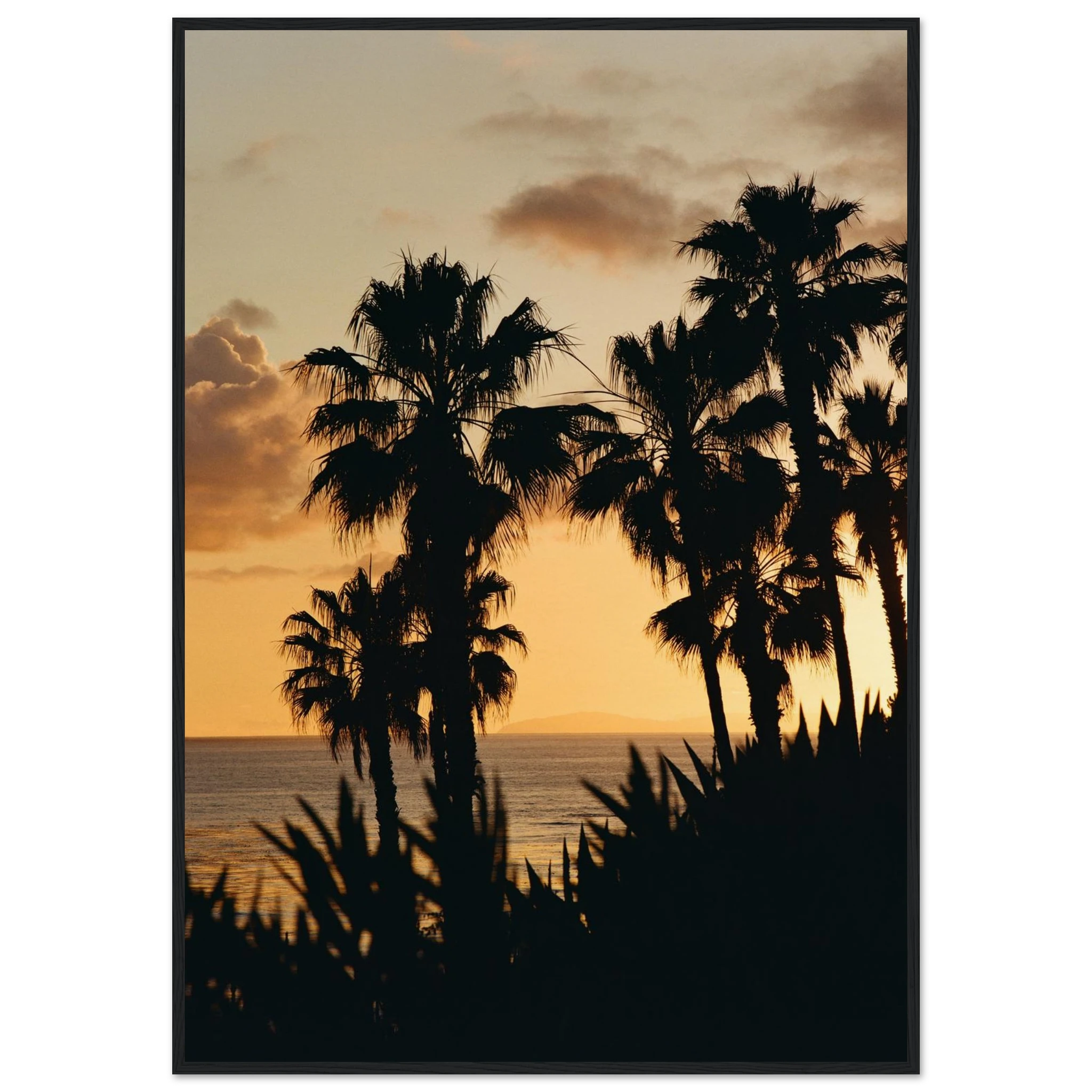 905925e5-72b3-4b30-999b-23a529f83566