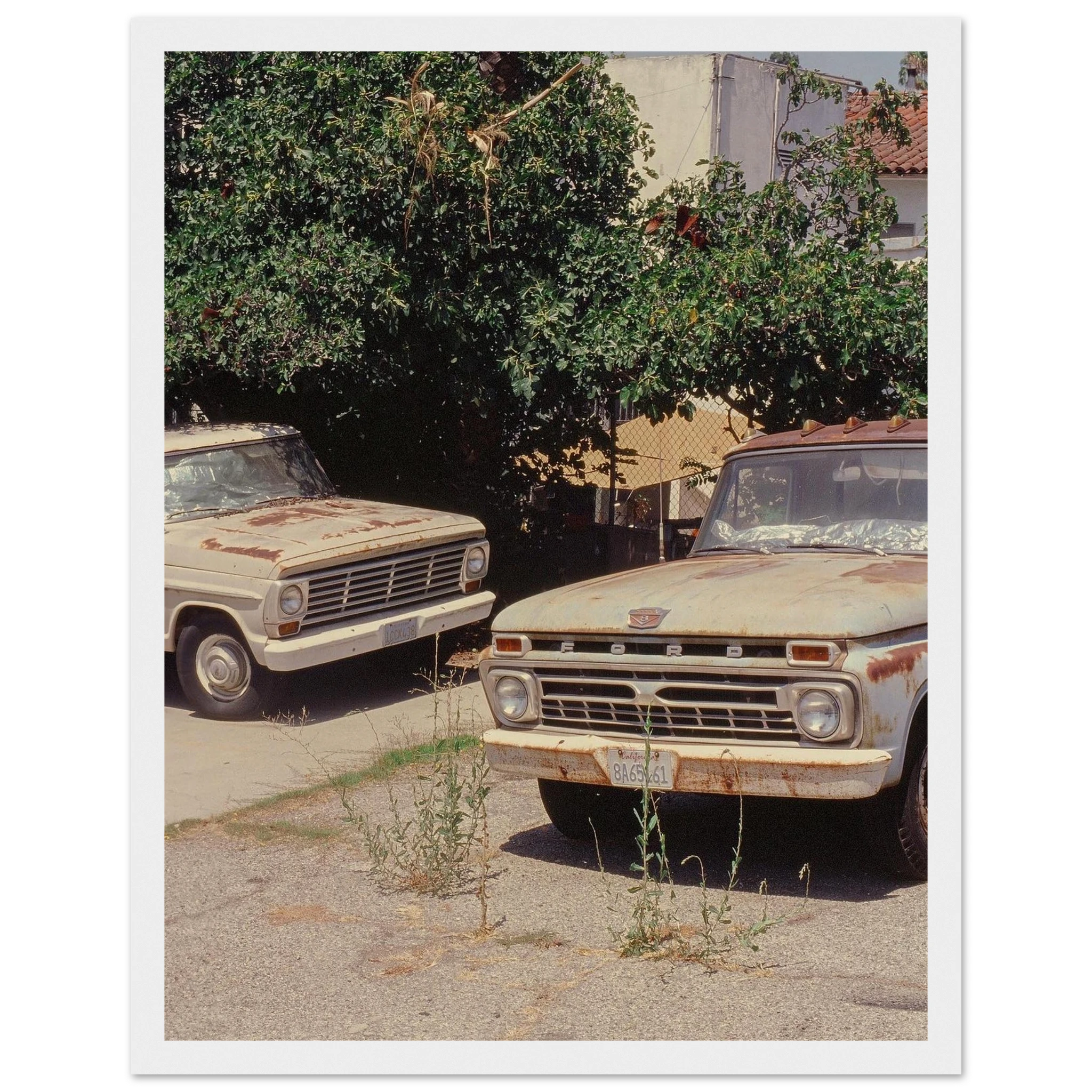 9a04a342-83be-4710-a406-51843537d1dd