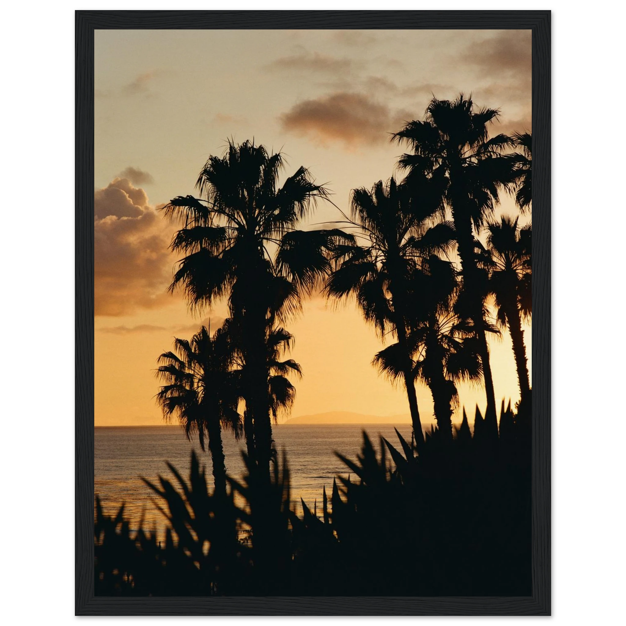 a866e977-4daa-47b4-8a8d-5c8be949aa0c