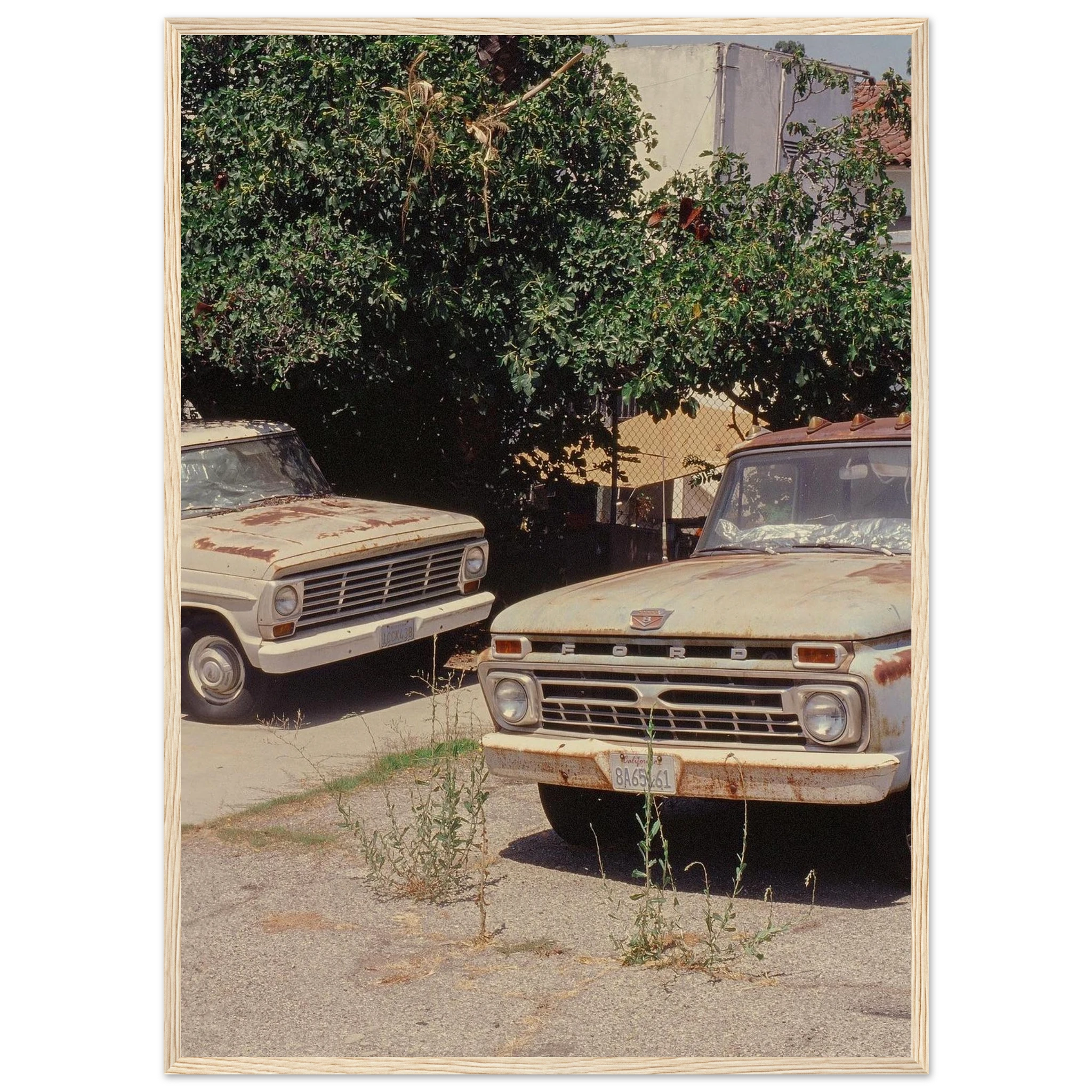 b0724ce9-465f-40fa-88bb-006303bee235