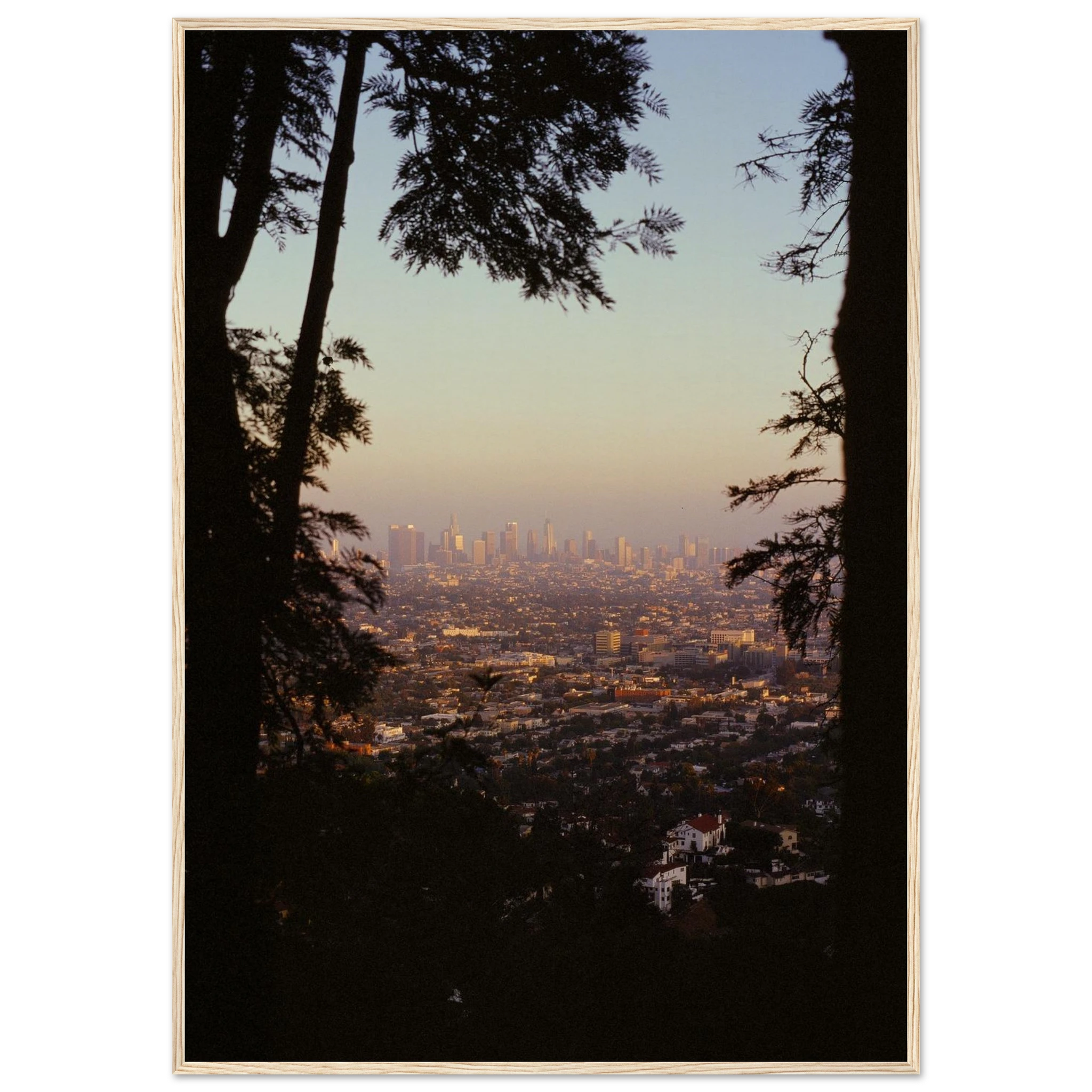 b1424558-cfd6-4b6a-8cce-1c2b75bcb983