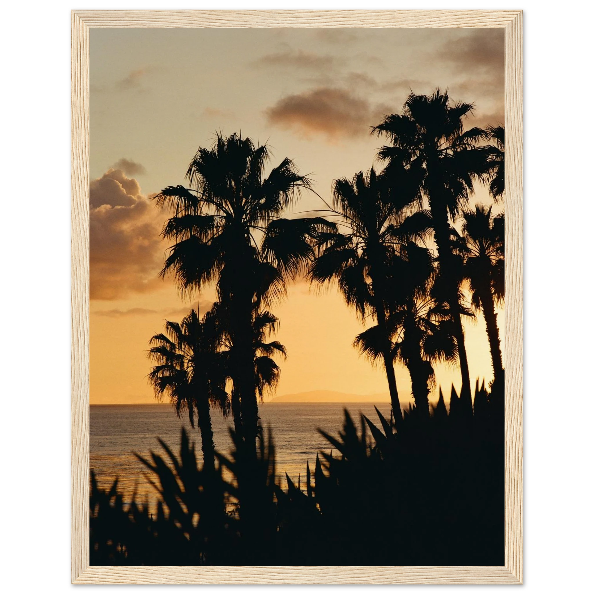 b7640747-8860-48c1-b4be-a362f1475d67