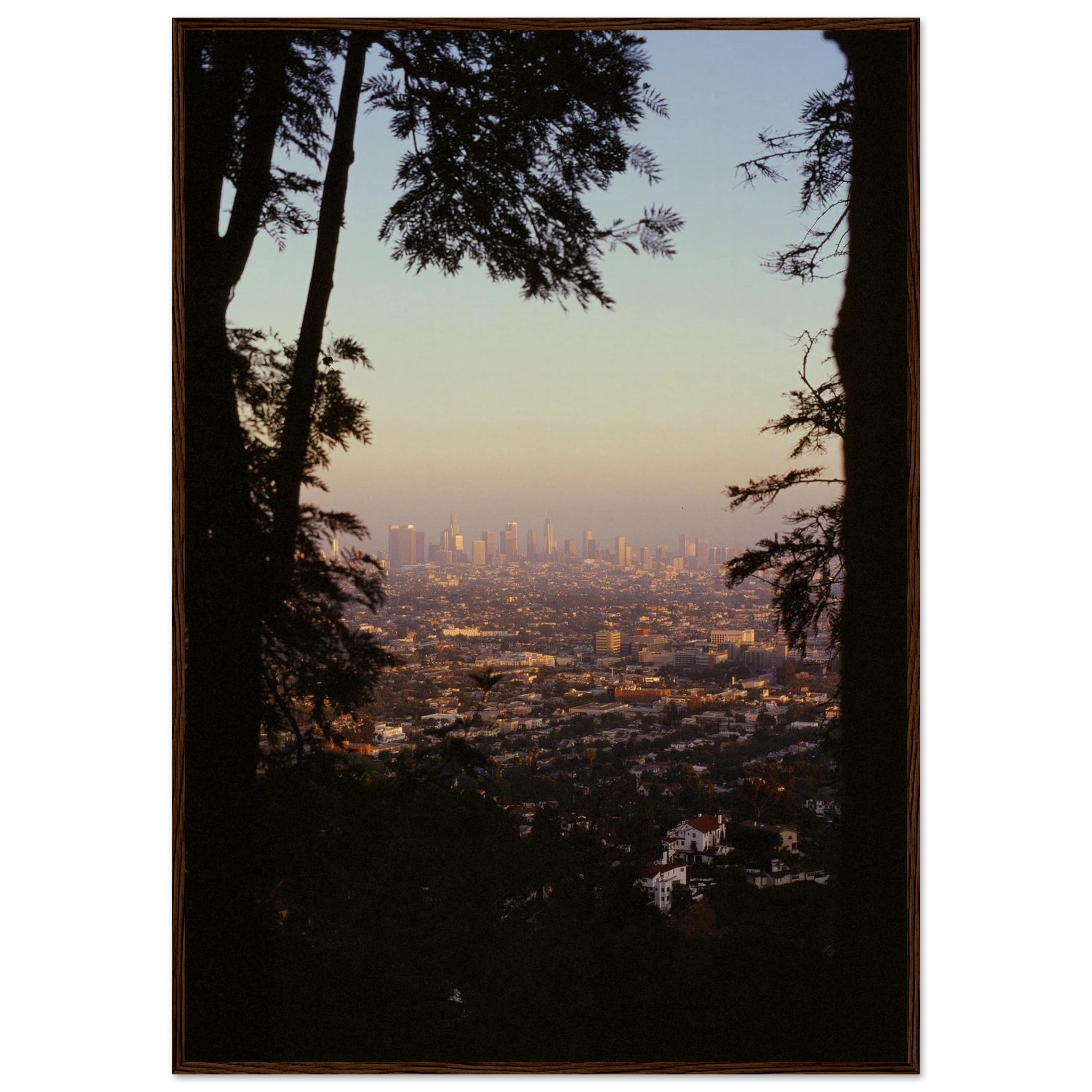 bd473b8c-d544-493c-9a23-3a8da40bb66d