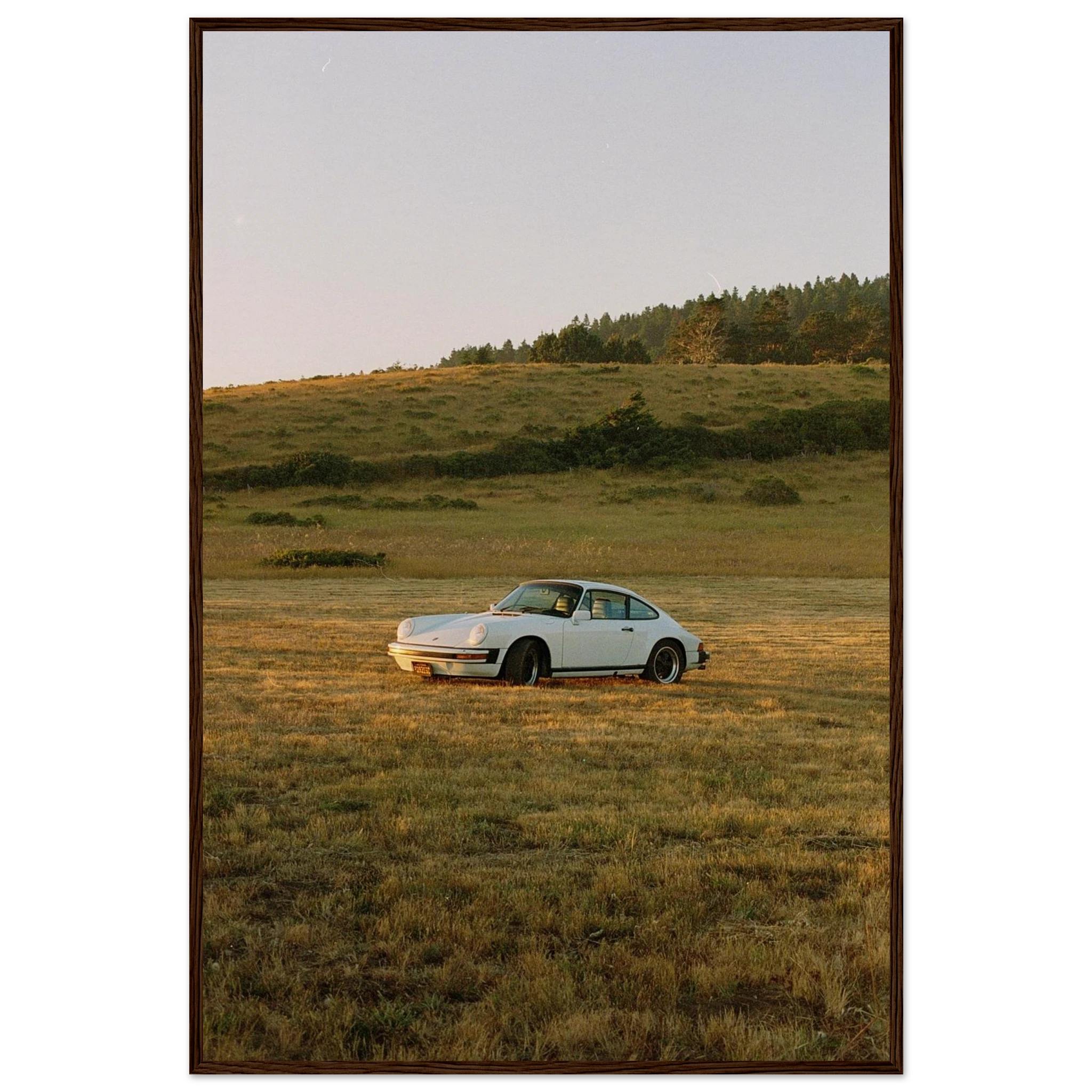 cc58ee0f-02c5-4e84-98b7-861f236df616