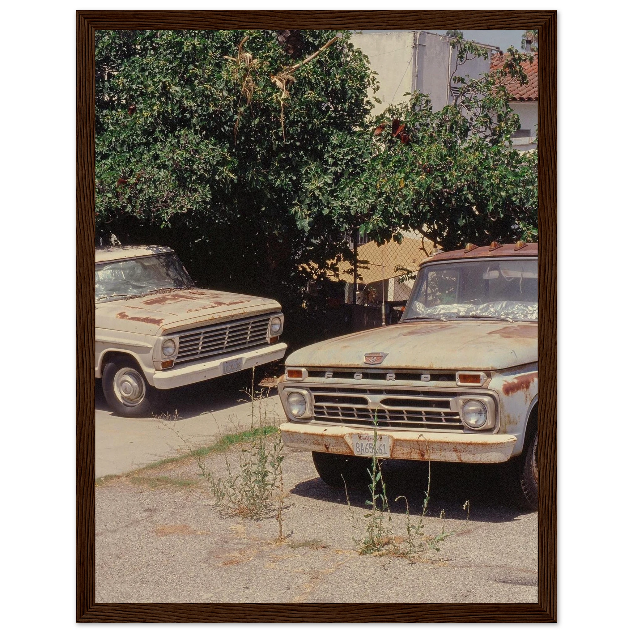 d5e52eb6-aec5-4384-8164-d39c8471c4b3