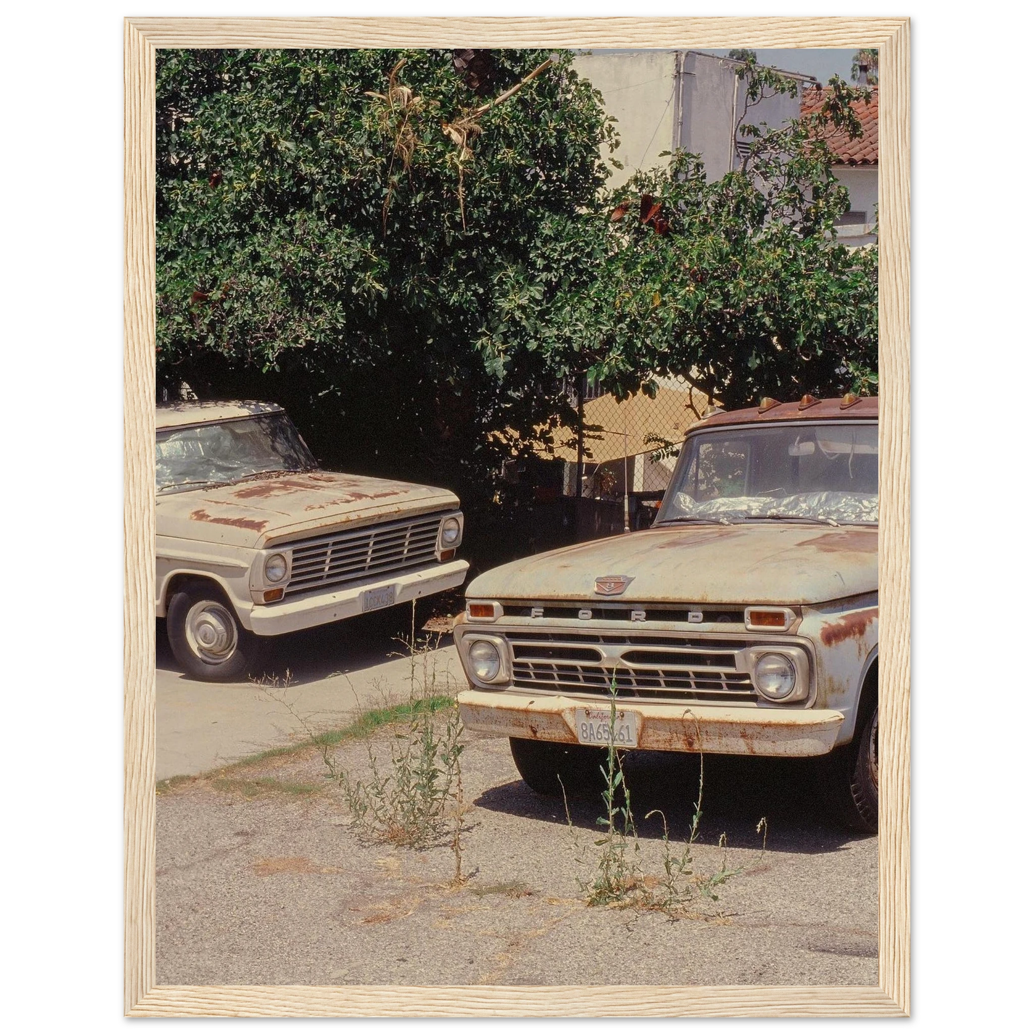 e1bad56b-5460-4db1-bf89-3bddf2a50748