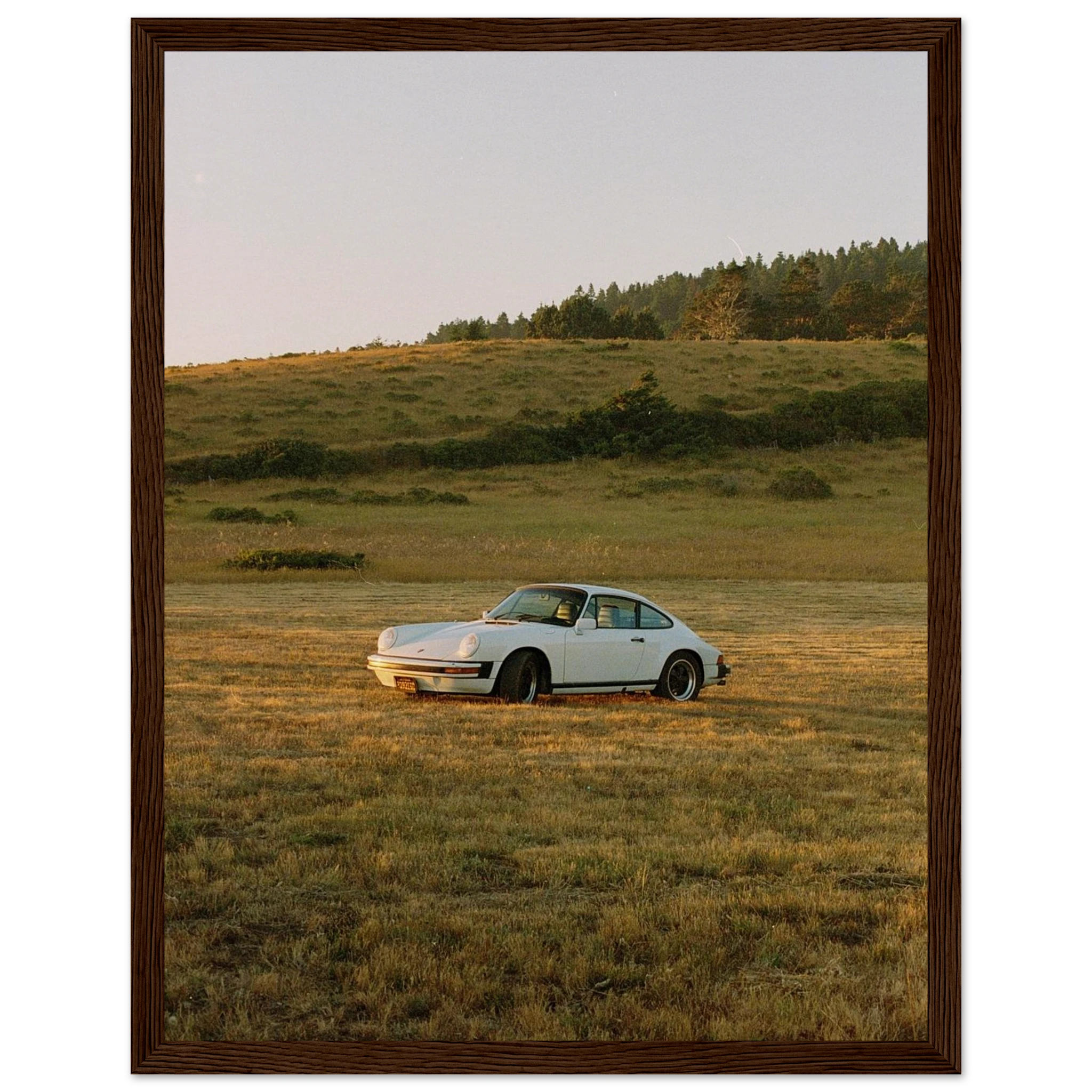 e321fe26-4ac5-49dc-822f-07e6b9fd3e1a