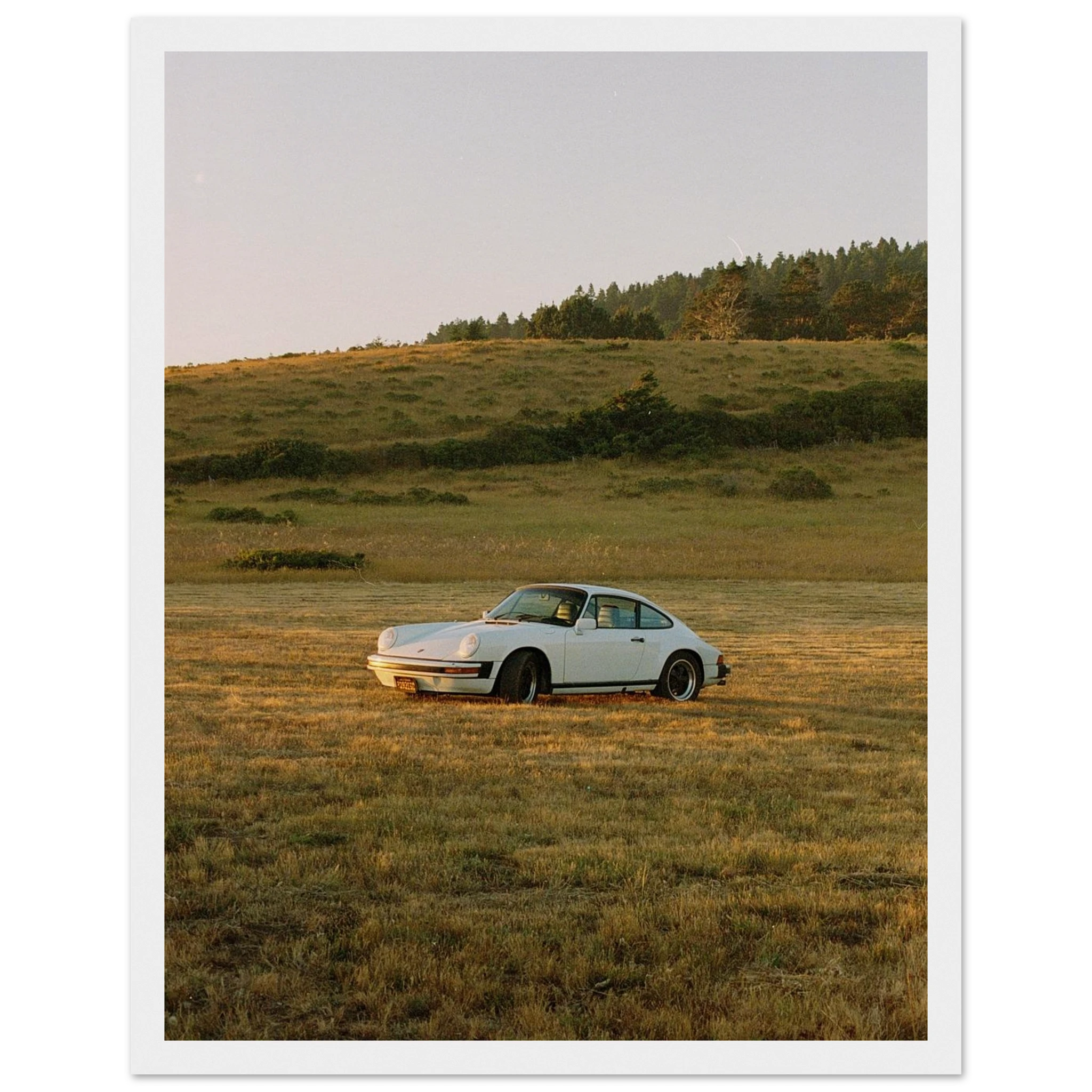 e65c5680-d309-4548-99b4-98a89c9c9a00