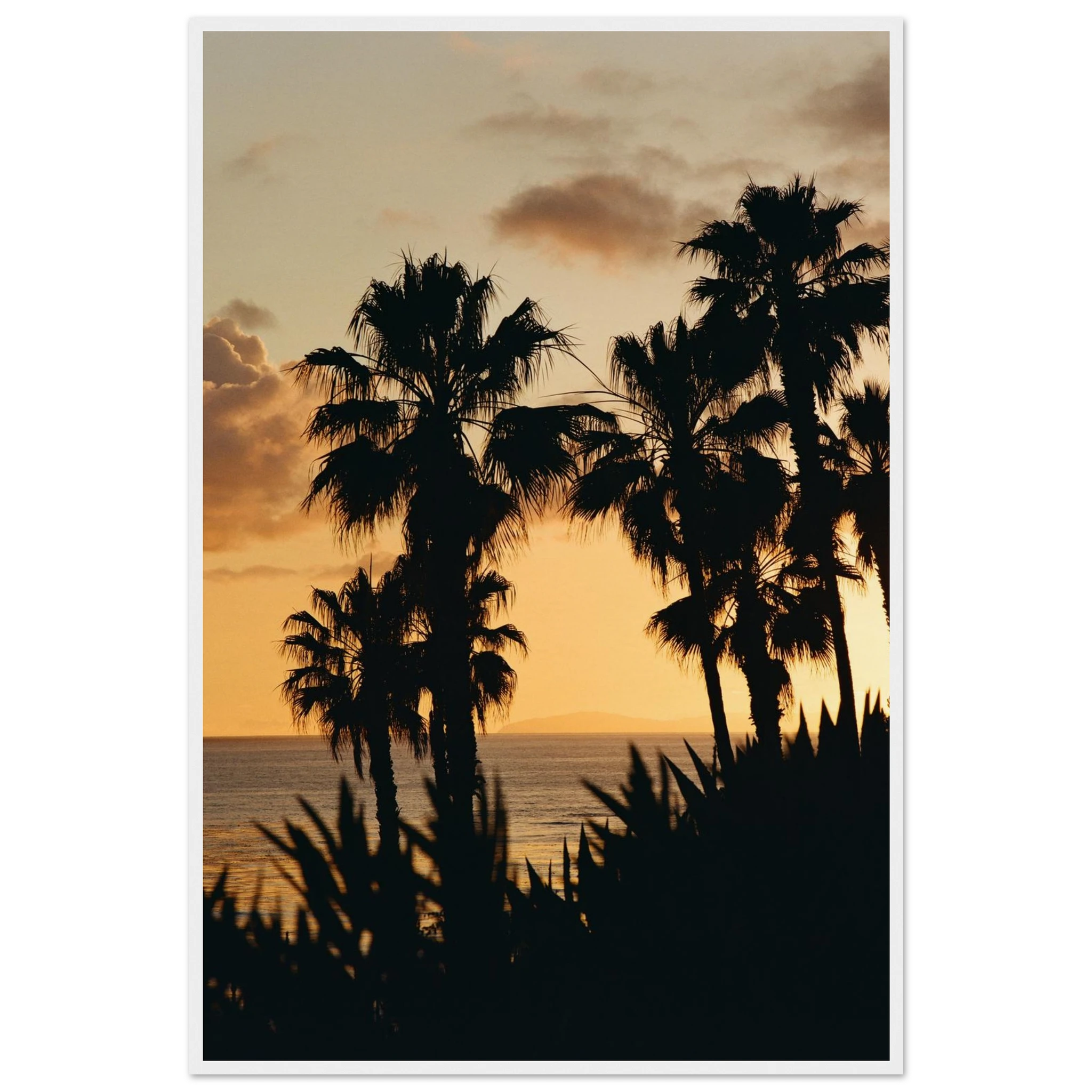 ec224464-e024-46c7-b783-c40ef8b4133c