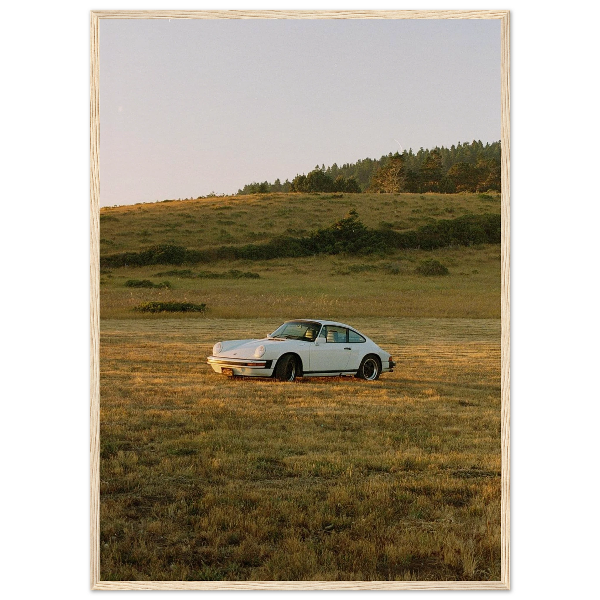 f40b91e5-0fe5-40a1-ae9c-8416e62d35bc