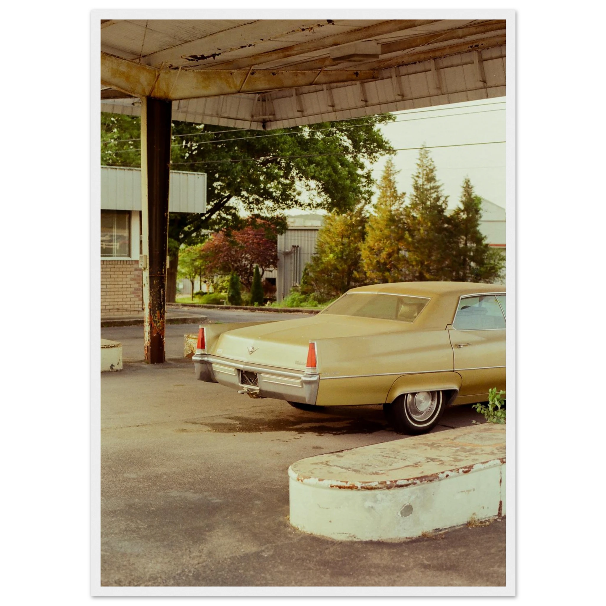 f4f955fe-d016-4f57-89cd-488ee16d7c43